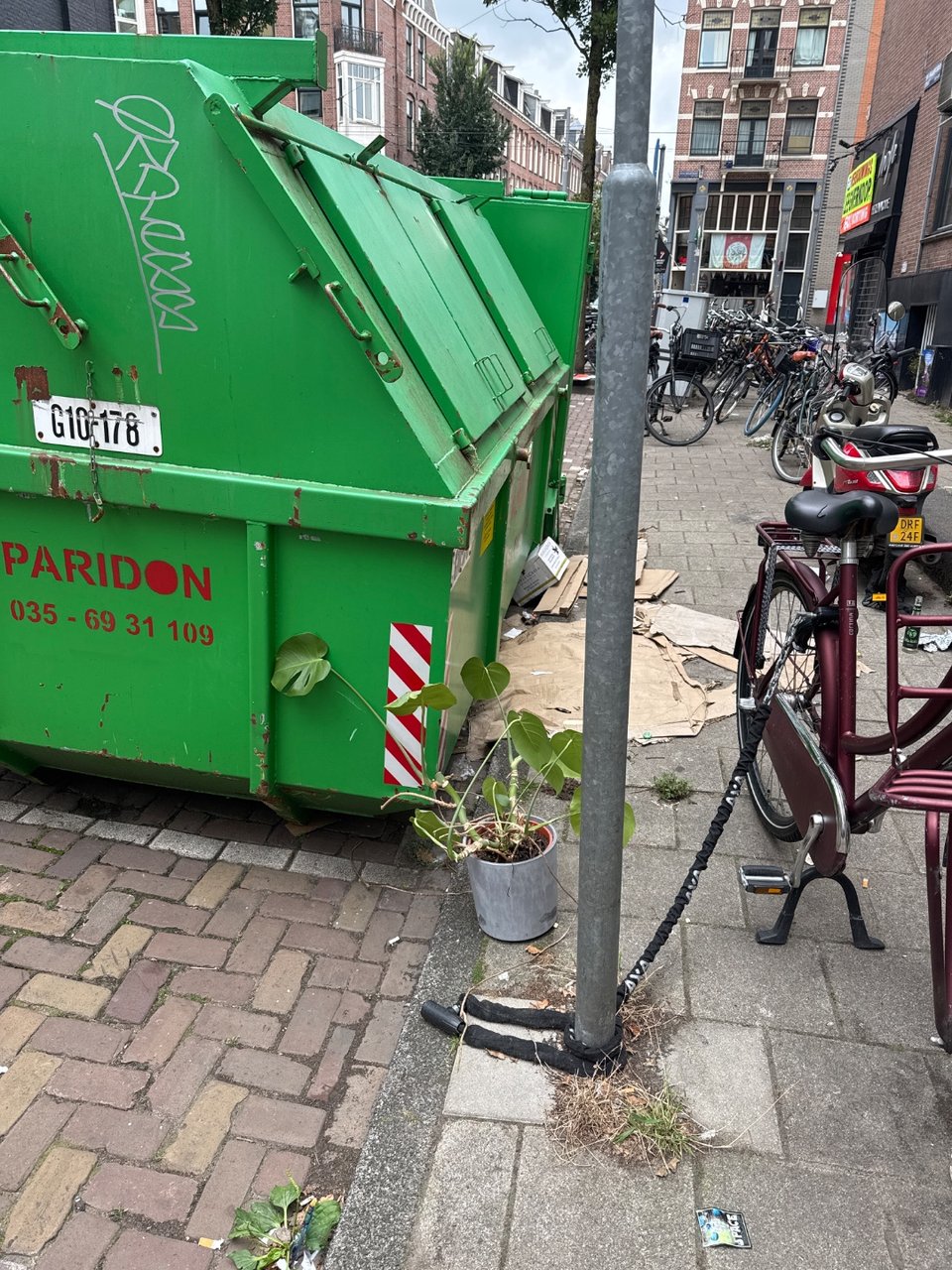 Cute plant! Looks healthy, no bugs or anything under the leaves.