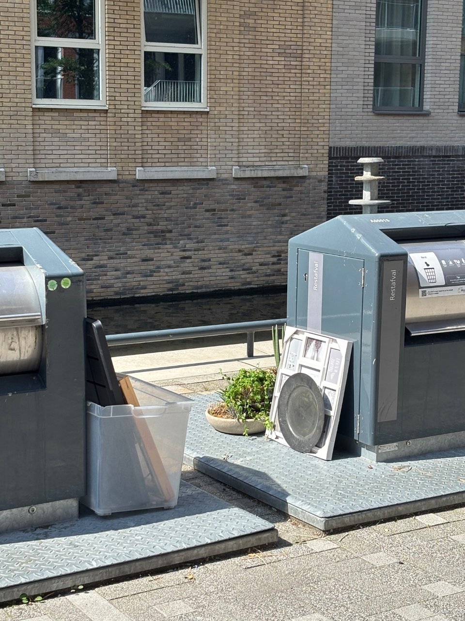 Plants and home decor