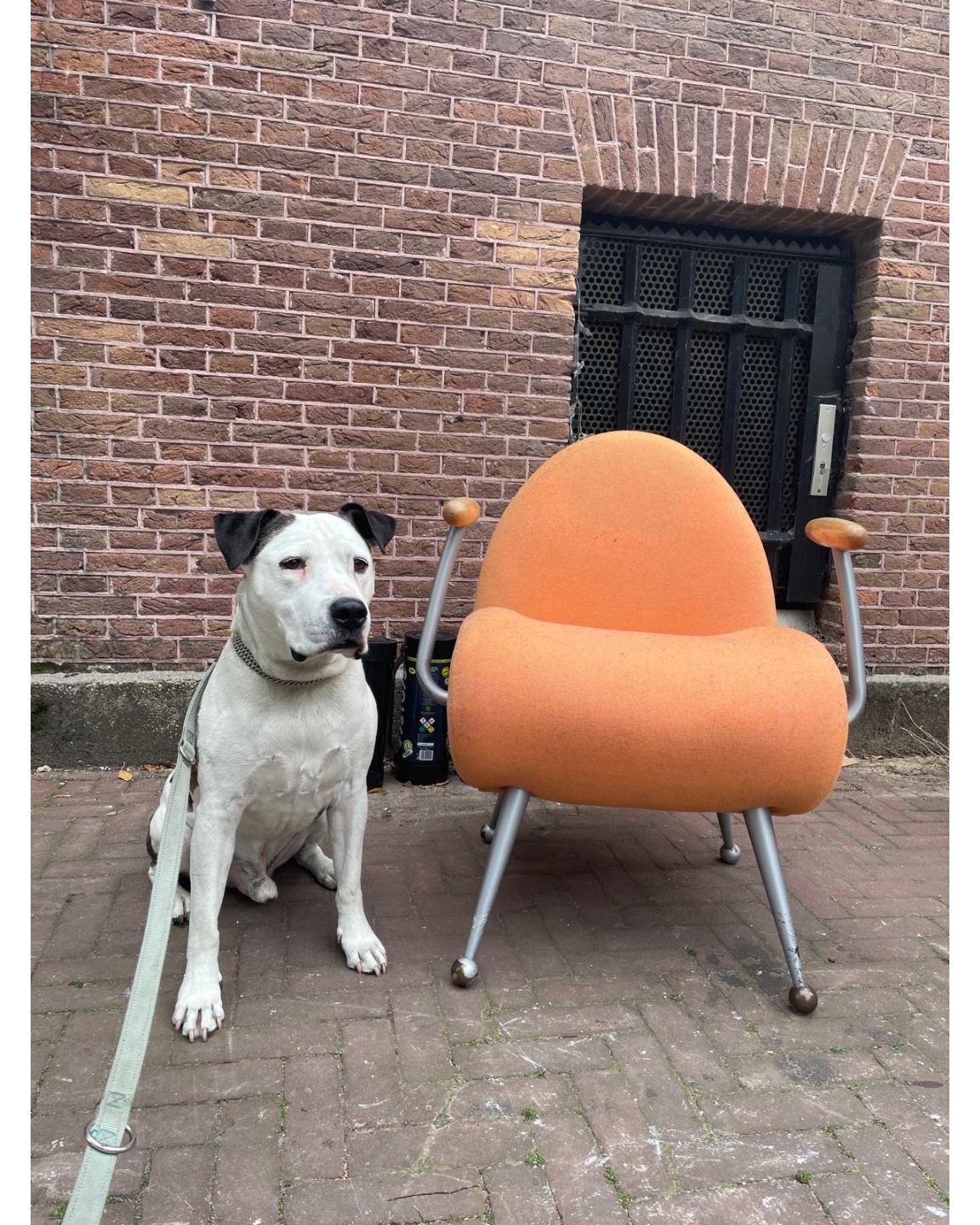 Een bijzondere stoel, heeft wat liefde nodig 🧡