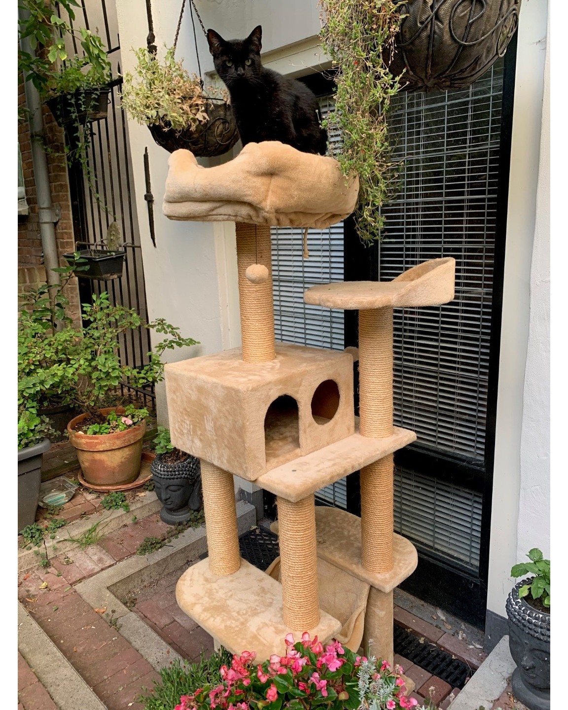 Cat tree & scratching post. Cat not included ;-)