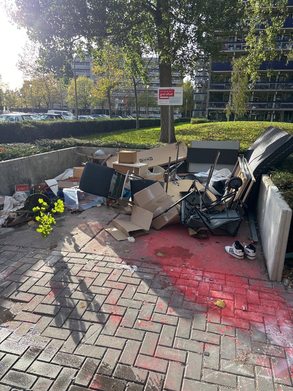 Bedframe and a healthy plant
