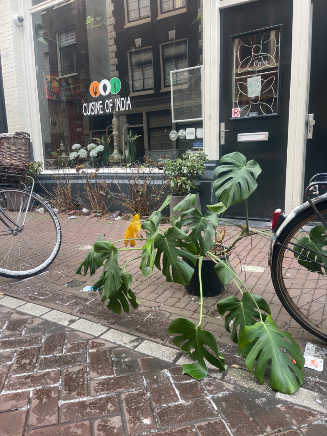 Red mij voor de avond anders ga ik dood