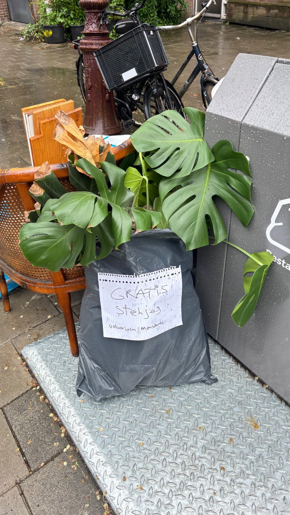 Vuilniszak vol Monstera stekjes