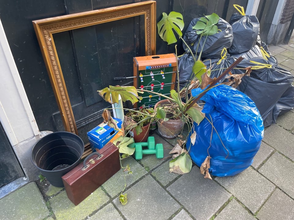 plants frame clothes