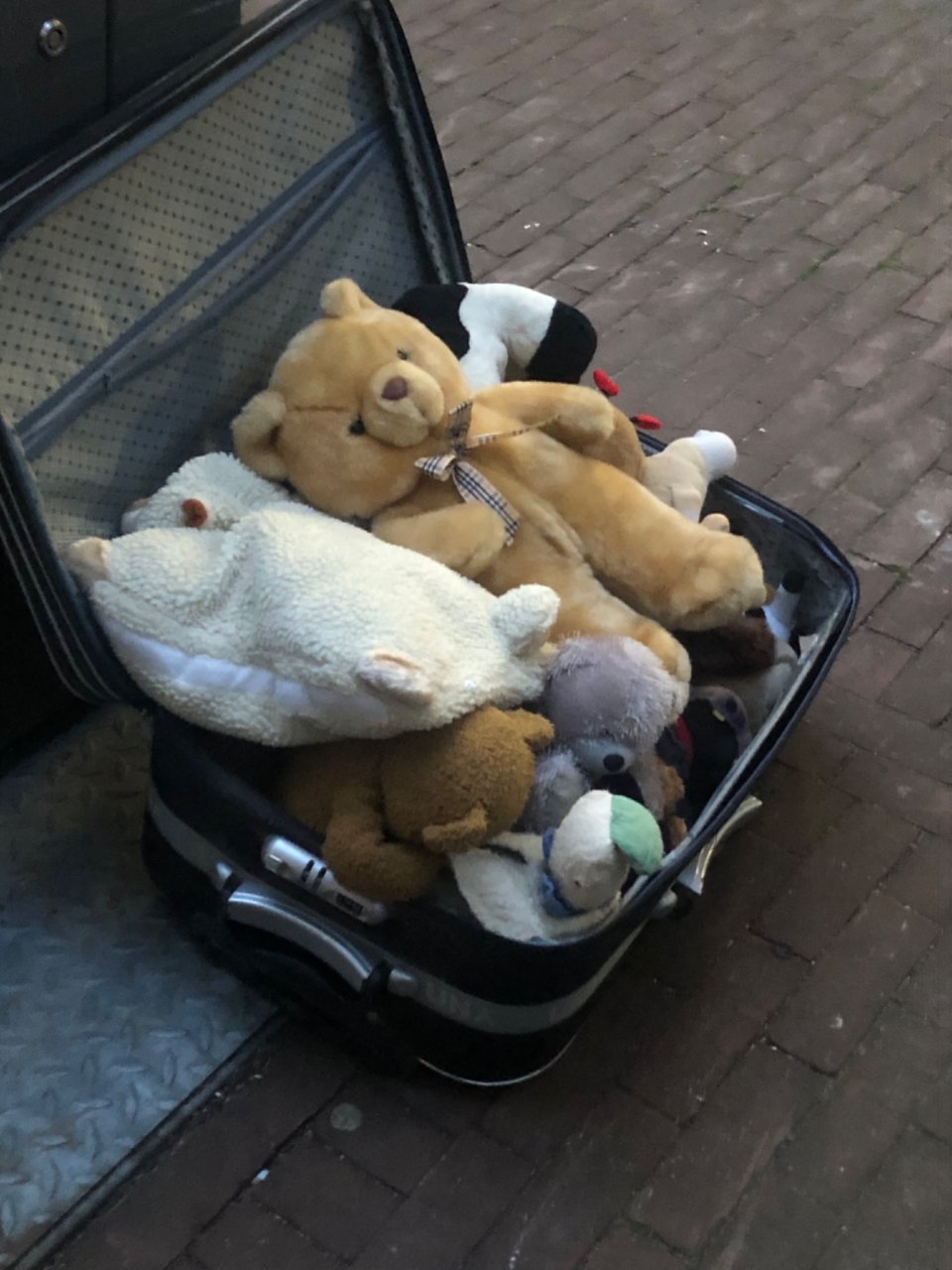 Hele koffer vol knuffels.  🧸